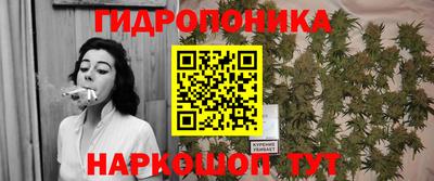 крисы Мариинск