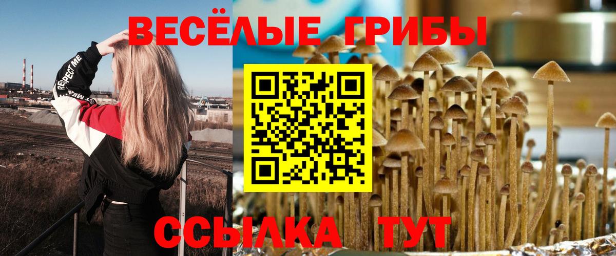 Галлюциногенные грибы ЛСД Домодедово